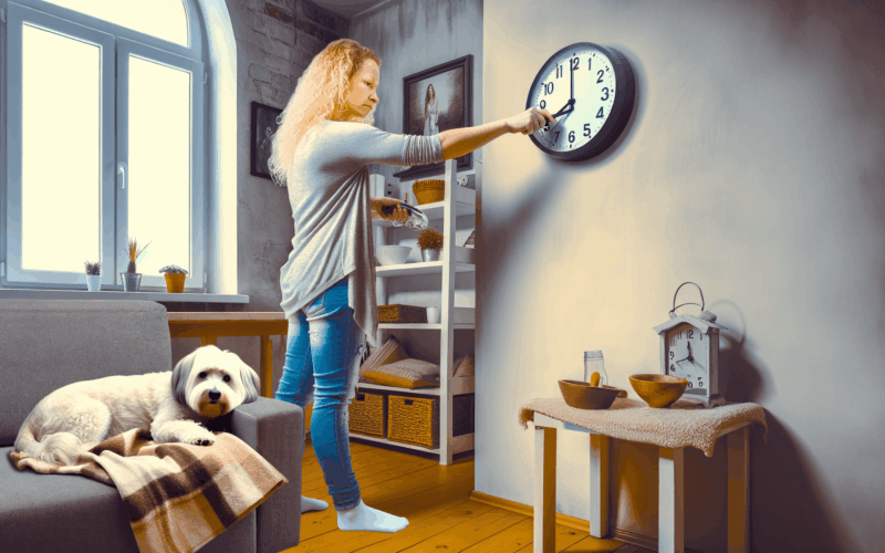 Jak pomoci mazlickum pri zmene casu 1761908437475