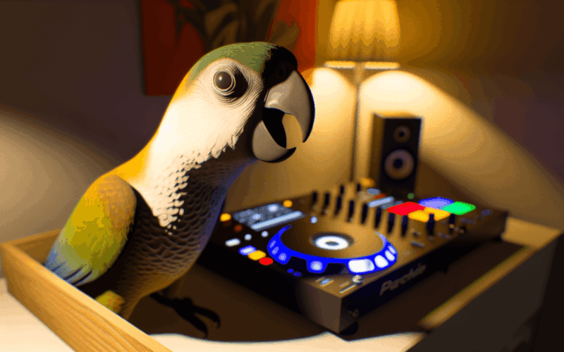 Brody papousek ktery zpiva mluvi a remixuje jako dj 1764424834426