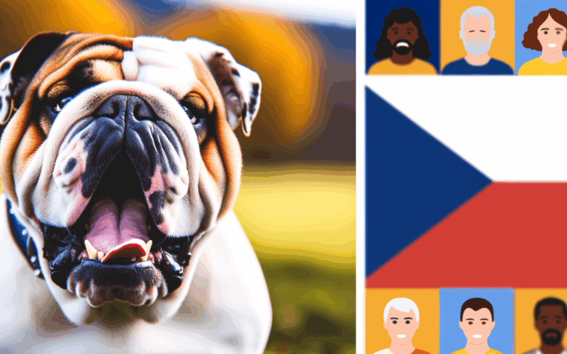 Anglicky buldok ktery ochranuje rodinu i pred houbickou 1765551709871