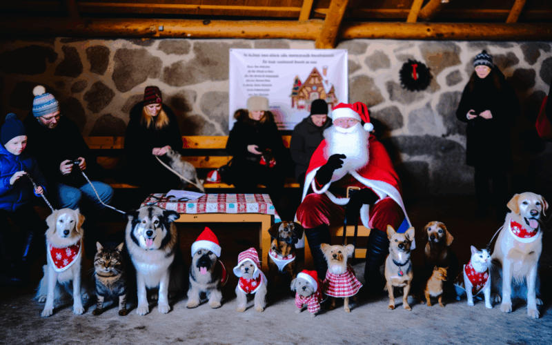 Petsmart nabizi bezplatne fotky mazlicku se santou o vikendu 1764838851313